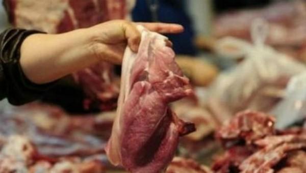 Làm gì trước thực trạng 100% mẫu thịt lợn, gà, vịt bị nhiễm khuẩn gây viêm não? - 0 Làm gì trước thực trạng 100% mẫu thịt lợn, gà, vịt bị nhiễm khuẩn gây viêm não? - 0