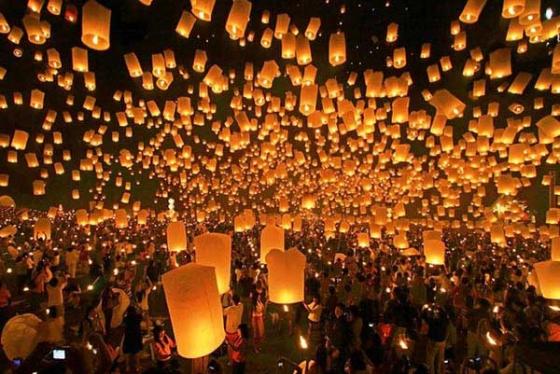 132 3 Ron Rang Voi 11 Le Hoi Lon Nhat Trong Nam Tai Duc