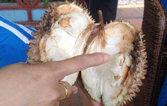 132 2 5 Nhom Nguoi Dung Dai An Sau Rieng Du Co Thich Me Neu Khong Muon Mang Benh