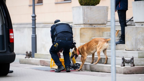 2 Ba Vu Bat Giu O Cologne Va Konstanz Diep Vien Nga Len Ke Hoach Danh Bom Buu Kien O Duc